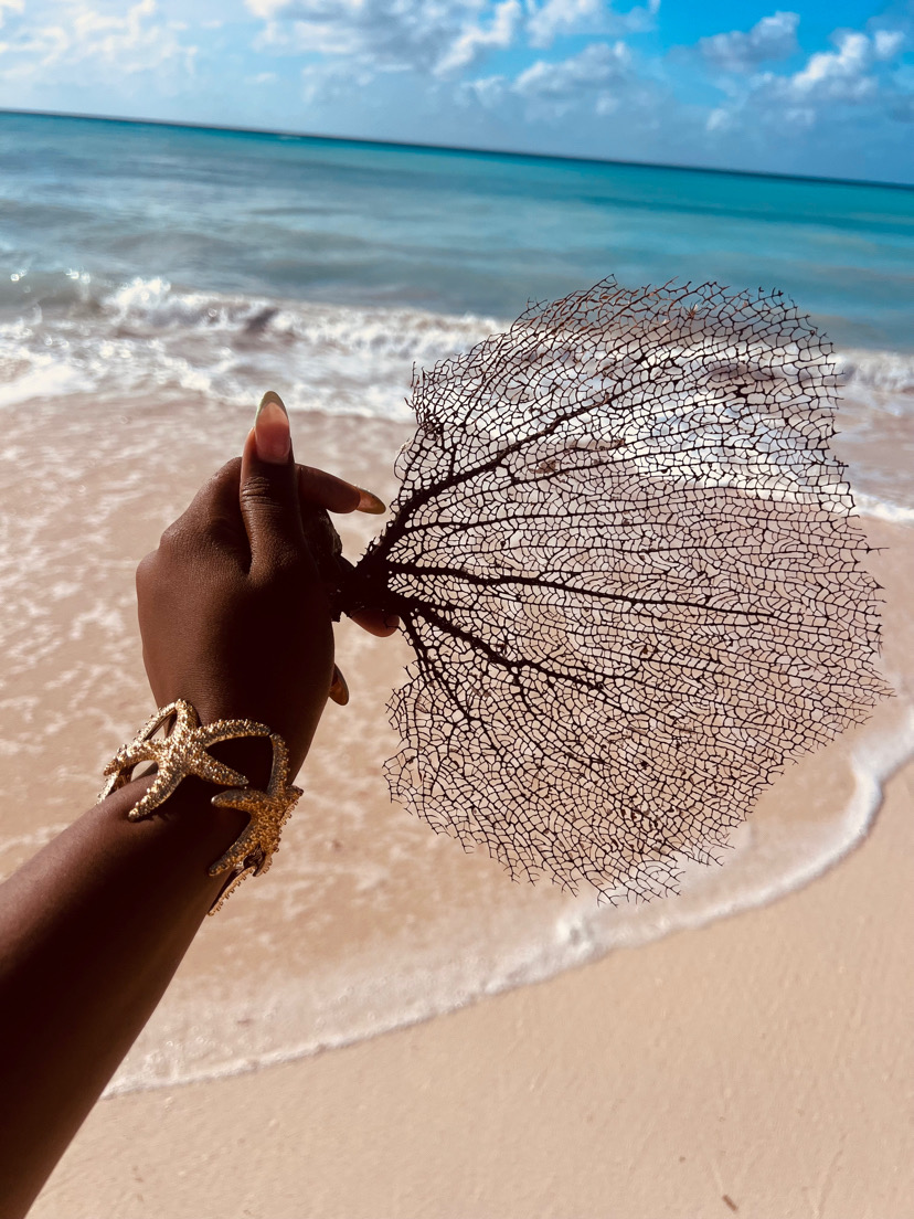 Sea fan held up against the sand in Turks and Caicos